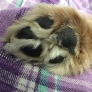 Meet your Posher, Alejandra